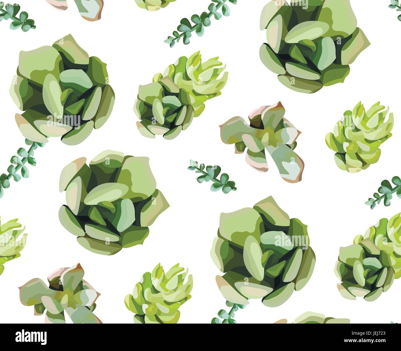Nahtlose Vektormuster grüner bunte Sukkulente Kaktus Design drucken. Natürlicher exotischen eleganten Hintergrund im modernen Stil isoliert weiß. Jahrgang, wa Stock Vektor