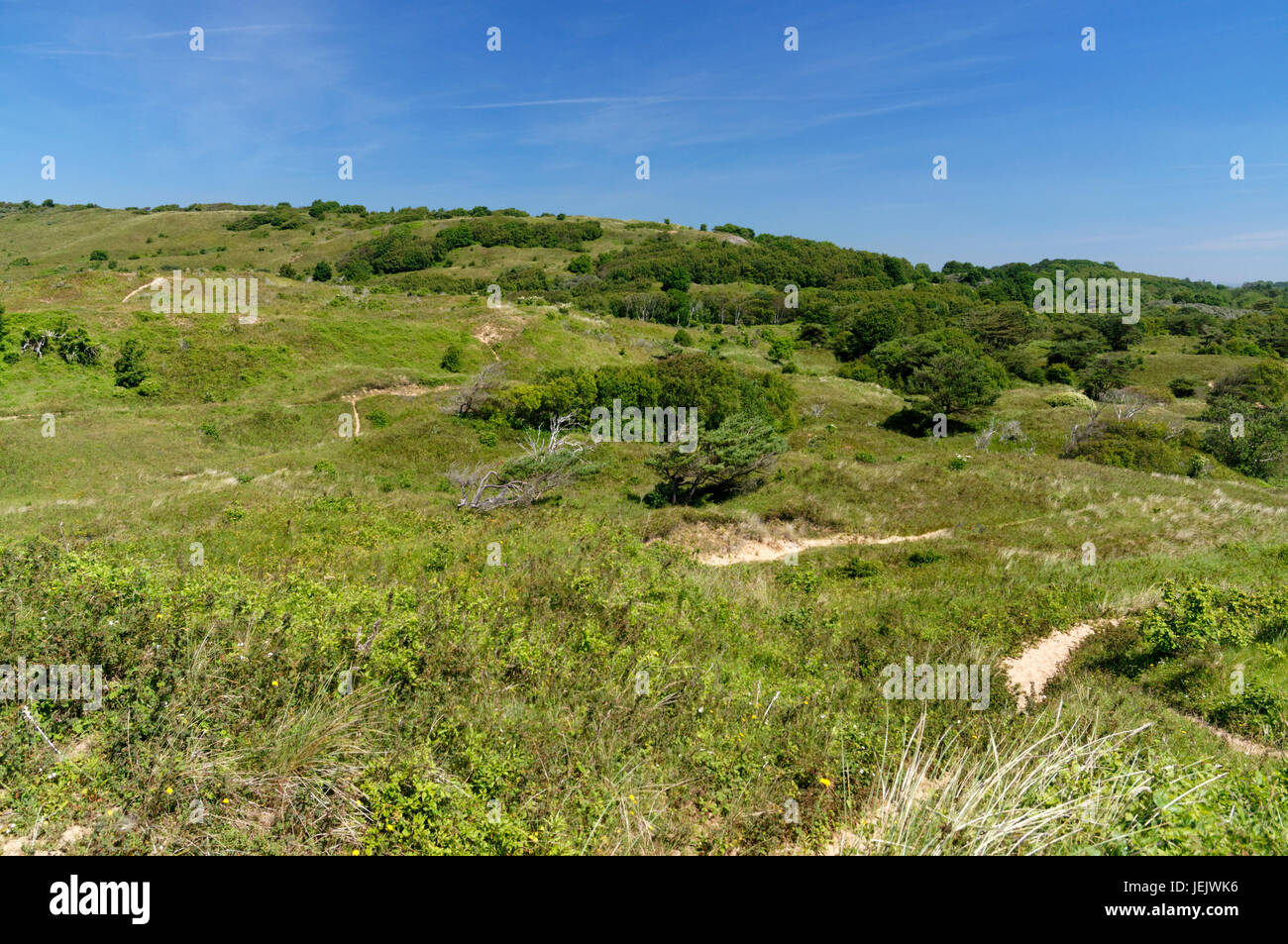 Merthyr Mawr Warrens, Bridgend, Südwales. Stockfoto