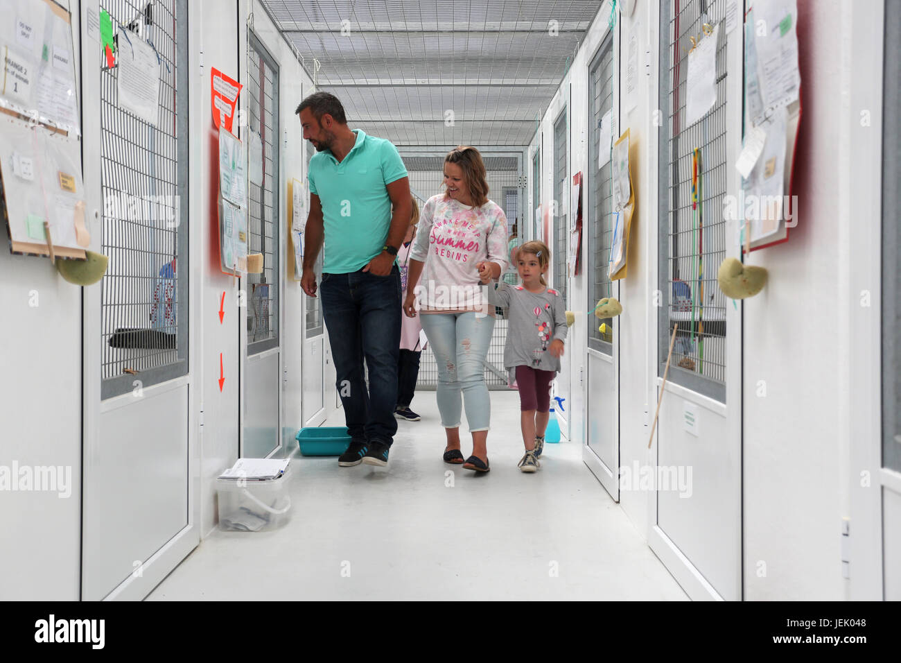 Blick in die Cat&Rabbit Rescue Center im Sidlesham, Chichester, West Sussex, UK. Stockfoto