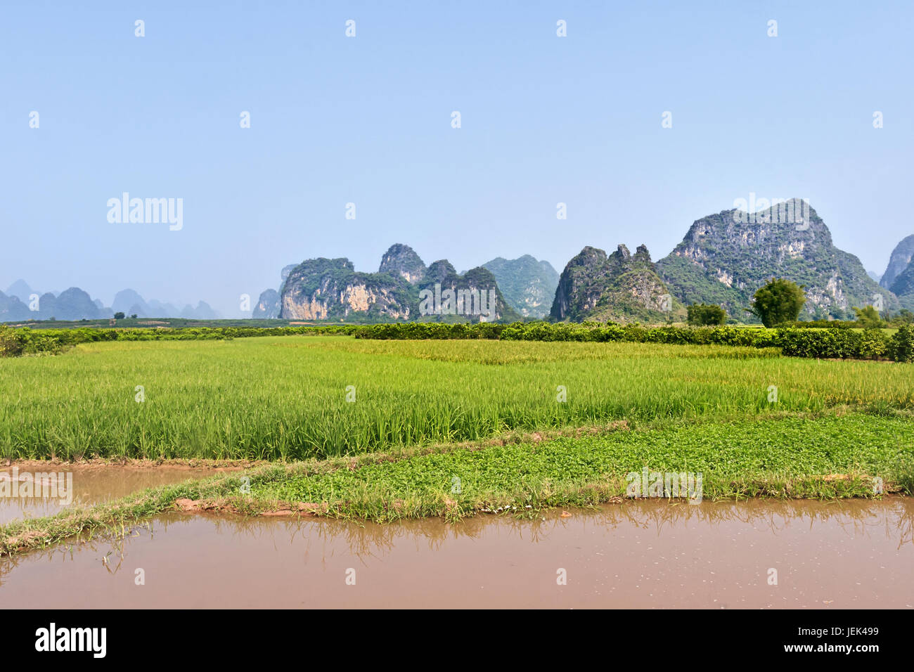 Paddy mit einem kleinen Kanal im Vordergrund, Karst-Hügel auf den Hintergrund, Yangshuo, Provinz Guangxi, China Stockfoto