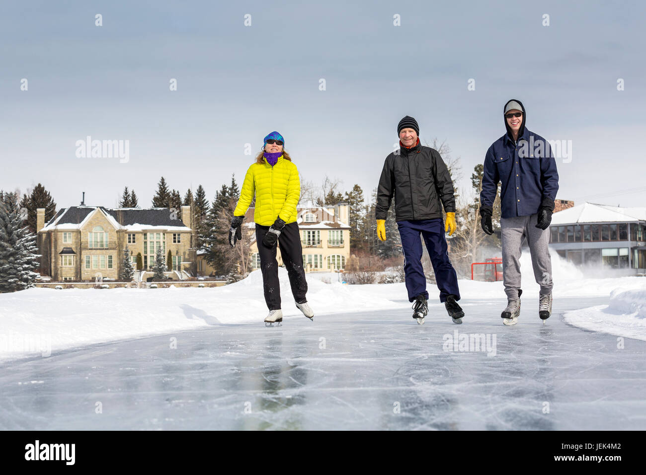 Zwei Rüden und eine Hündin auf frisch präparierten Eis am Teich mit Häusern im Hintergrund; Calgary, Alberta, Kanada Stockfoto