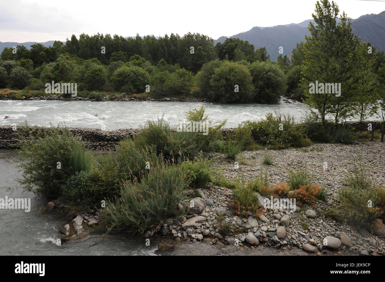 Fluss, Srinagar, Jammu Kaschmir, Indien, Asien Stockfoto