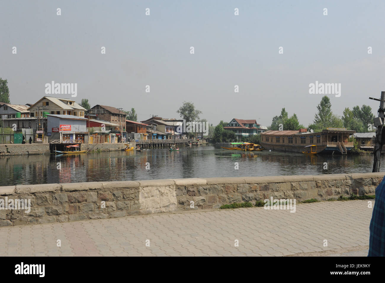 Dal Lake, Srinagar, Jammu Kaschmir, Indien, Asien Stockfoto
