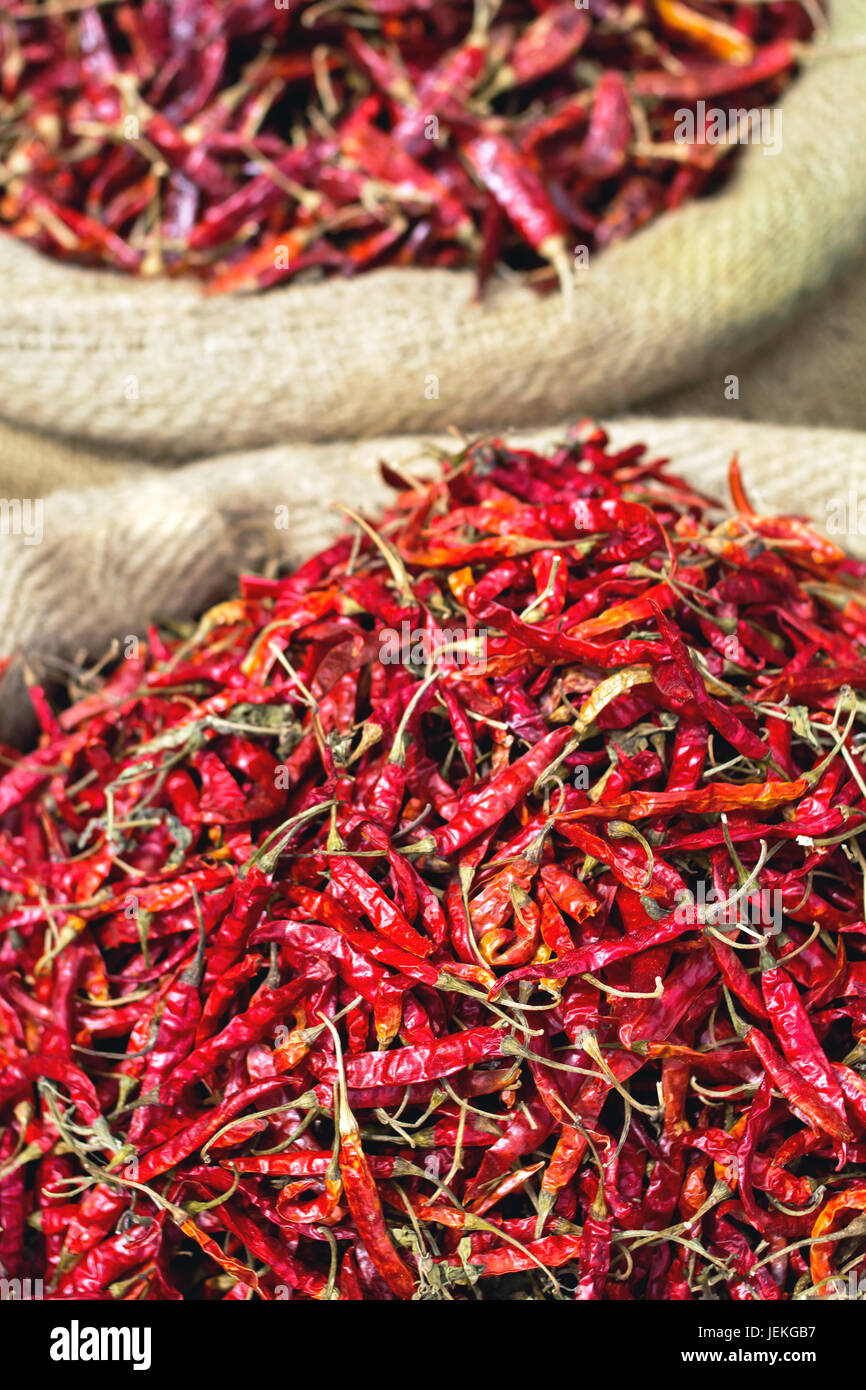 Nahaufnahme der getrocknete Chilischoten Stockfoto