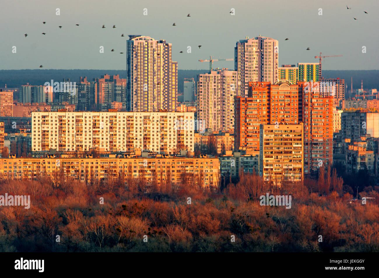 Vögel fliegen über die Skyline der Stadt in der Nacht, Kiew, Ukraine Stockfoto