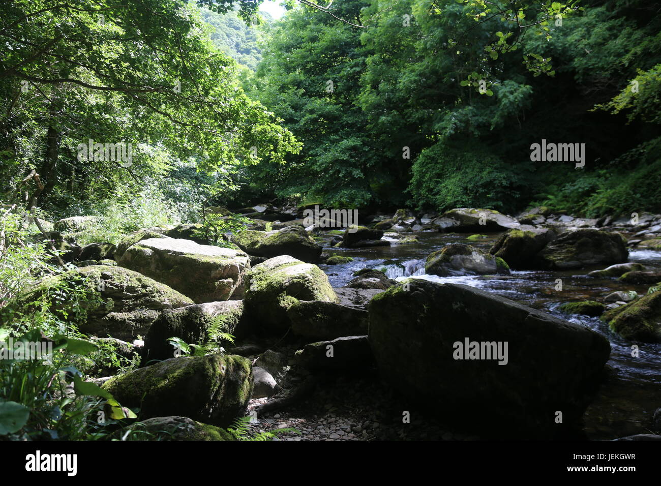 Gewässer zu erfüllen, North Devon Stockfoto