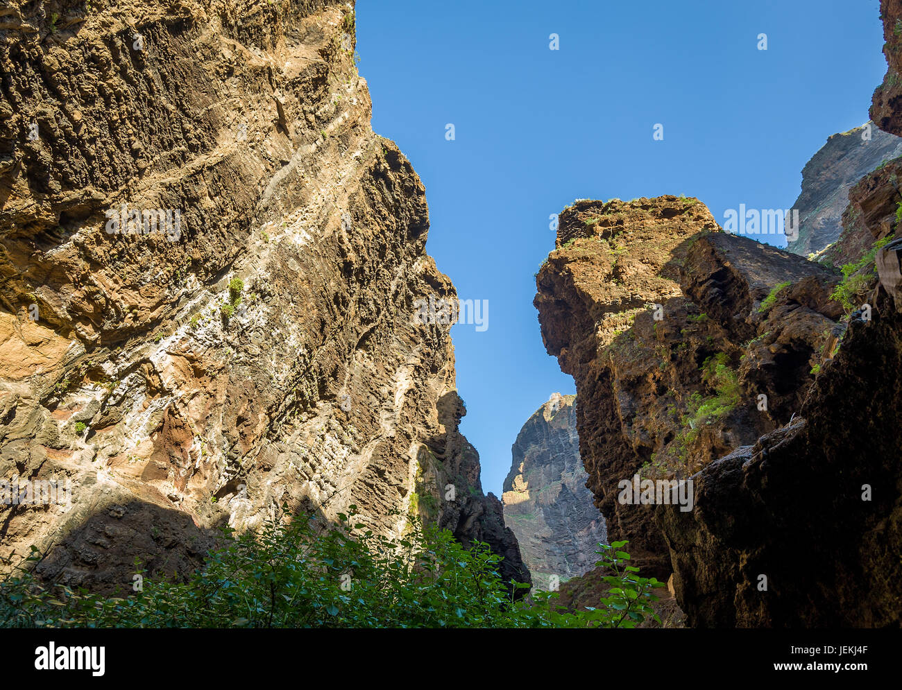 Hohe Felsen von Masca Schlucht, Teneriffa Stockfoto