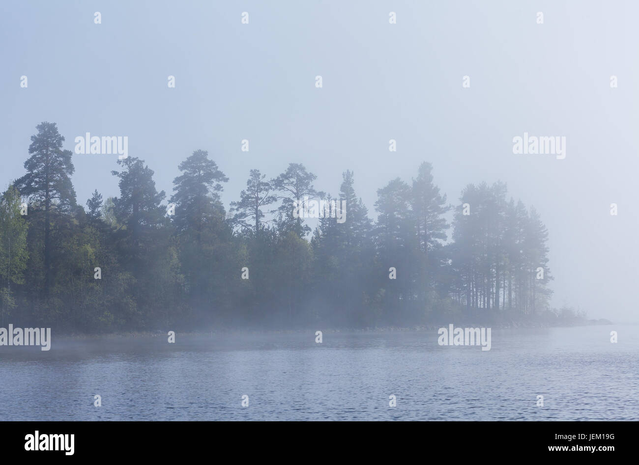 Nebel und Bäume am Ufer des Ladogasees Stockfoto