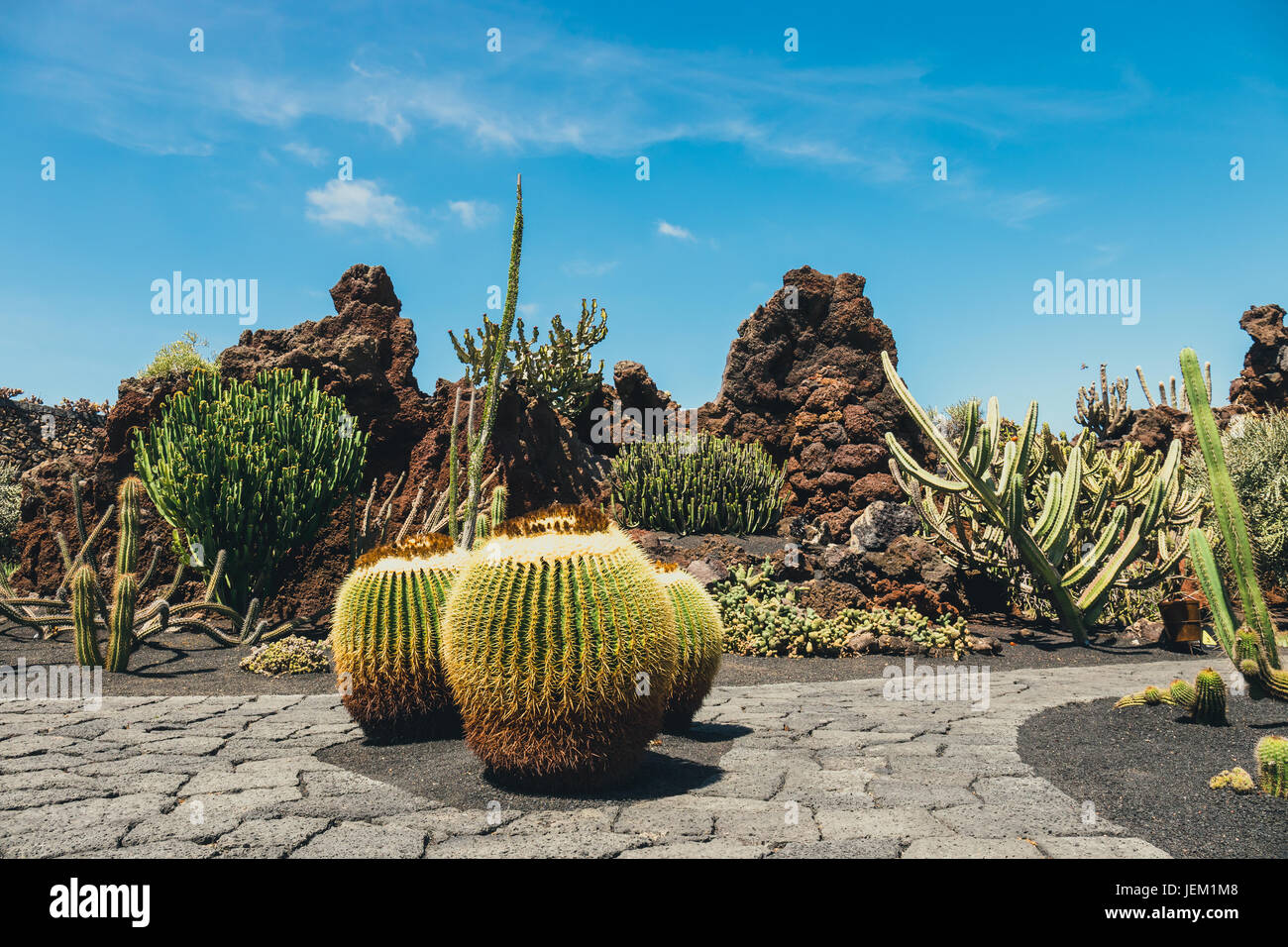 Blick auf Kakteen Garten Jardin de Cactus in Guatiza, beliebte