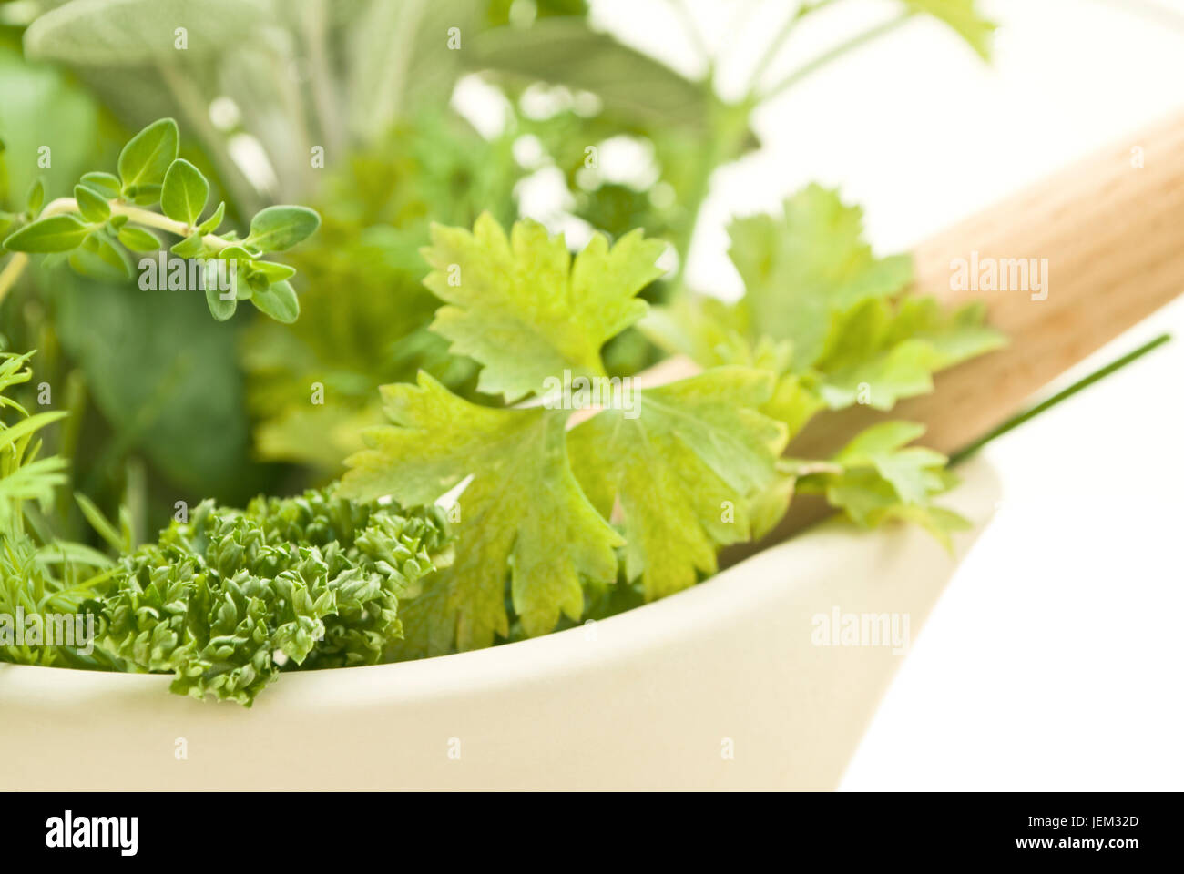 Nahaufnahme von Kräutern mit Sahne Mörser. Vordergrund zeigt Petersilie (Krause und flache Sorten), Zitronenthymian und Dill.  Salbei ist sichtbar im Hinterg Stockfoto