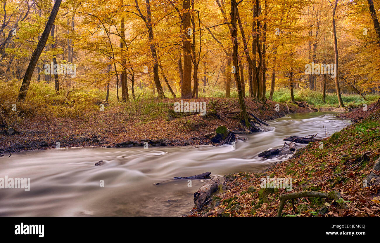 Fluss im herbstlichen Wald Stockfoto