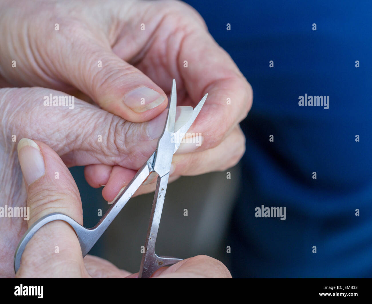 Trimmen, einer älteren Frau Nagel Daumen: eine Nahaufnahme einer Frau mit Schere um den Daumennagel eine ältere Womn Hand zu trimmen. Stockfoto