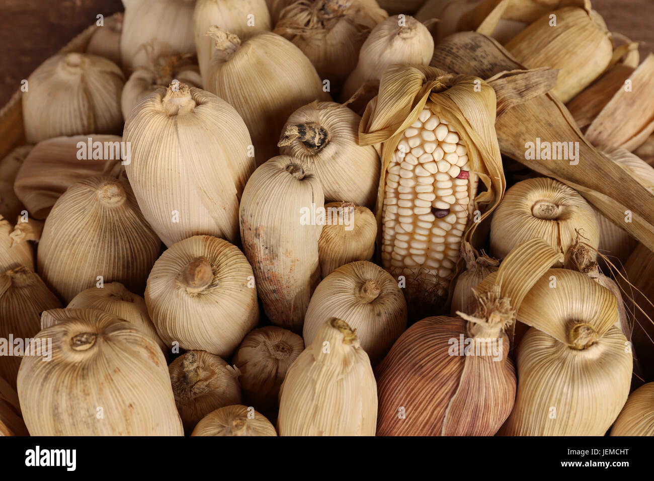 Getrockneten Maiskolben in verschiedenen Farben Stockfoto