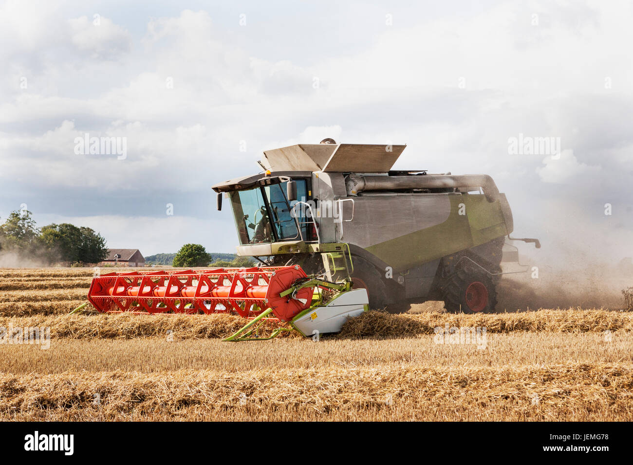 Mähdrescher auf Feld Stockfoto
