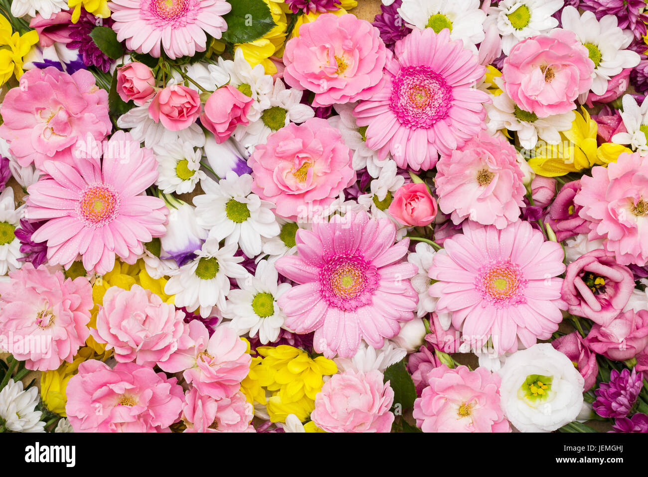 Rosen Gerbera Und Andere Verschiedenen Blumen Arrangiert Als Bunte Naturlichen Hintergrund Mit Weissen Gelben Und Rosa Bluten Flach Legen Fotografie Stockfotografie Alamy