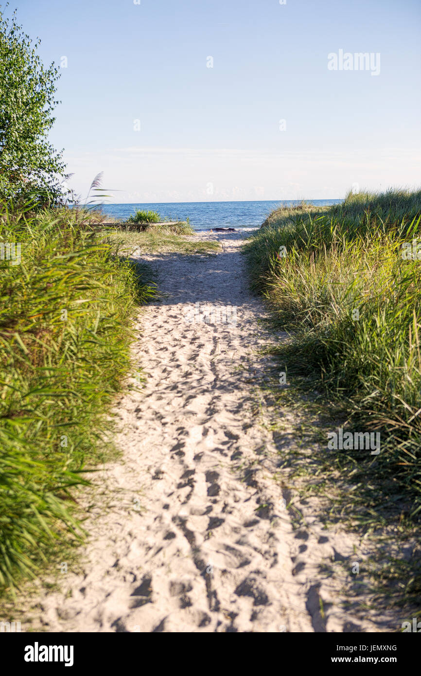 Fußweg zum Meer Stockfoto