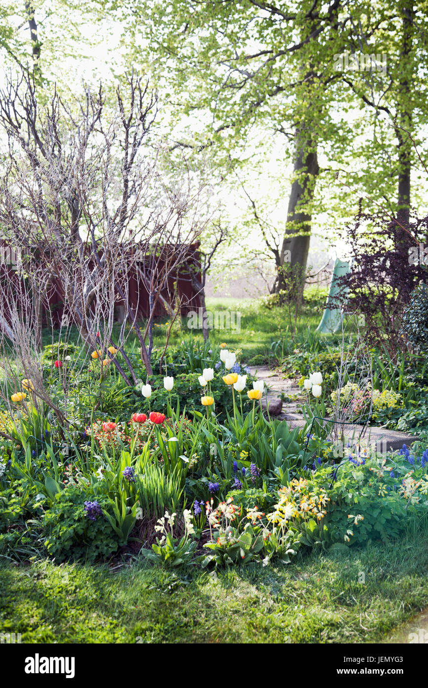 Frühlingsblumen im Garten Stockfoto