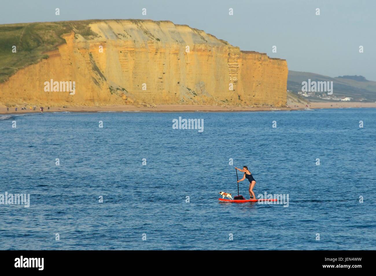 West Bay, Dorset, UK. 26. Juni 2017. Großbritannien Wetter. Eine Frau auf einem Paddleboard mit ihrem Hund an einem herrlichen sonnigen Abend im Badeort von West Bay in Dorset. Bildnachweis: Graham Hunt/Alamy Live-Nachrichten Stockfoto