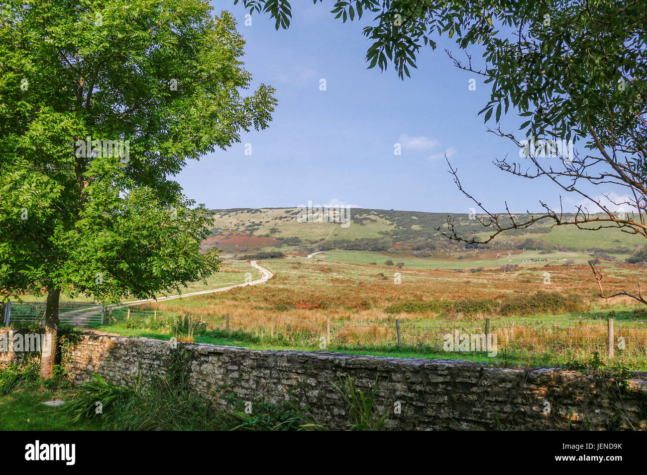 Lulworth Castle, Südengland Stockfoto