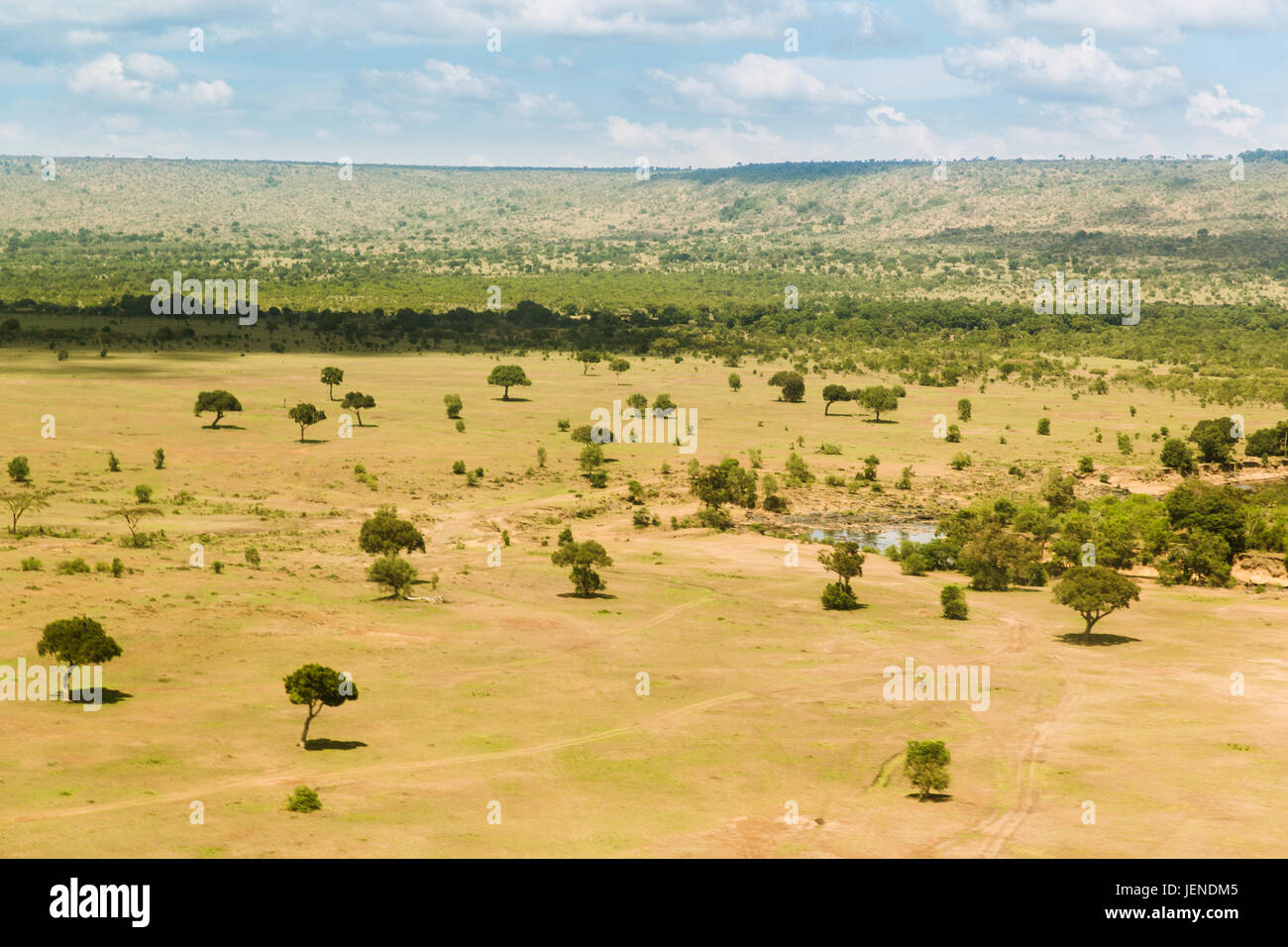 Maasai Mara Nationalreservat Savanne Afrika Stockfoto