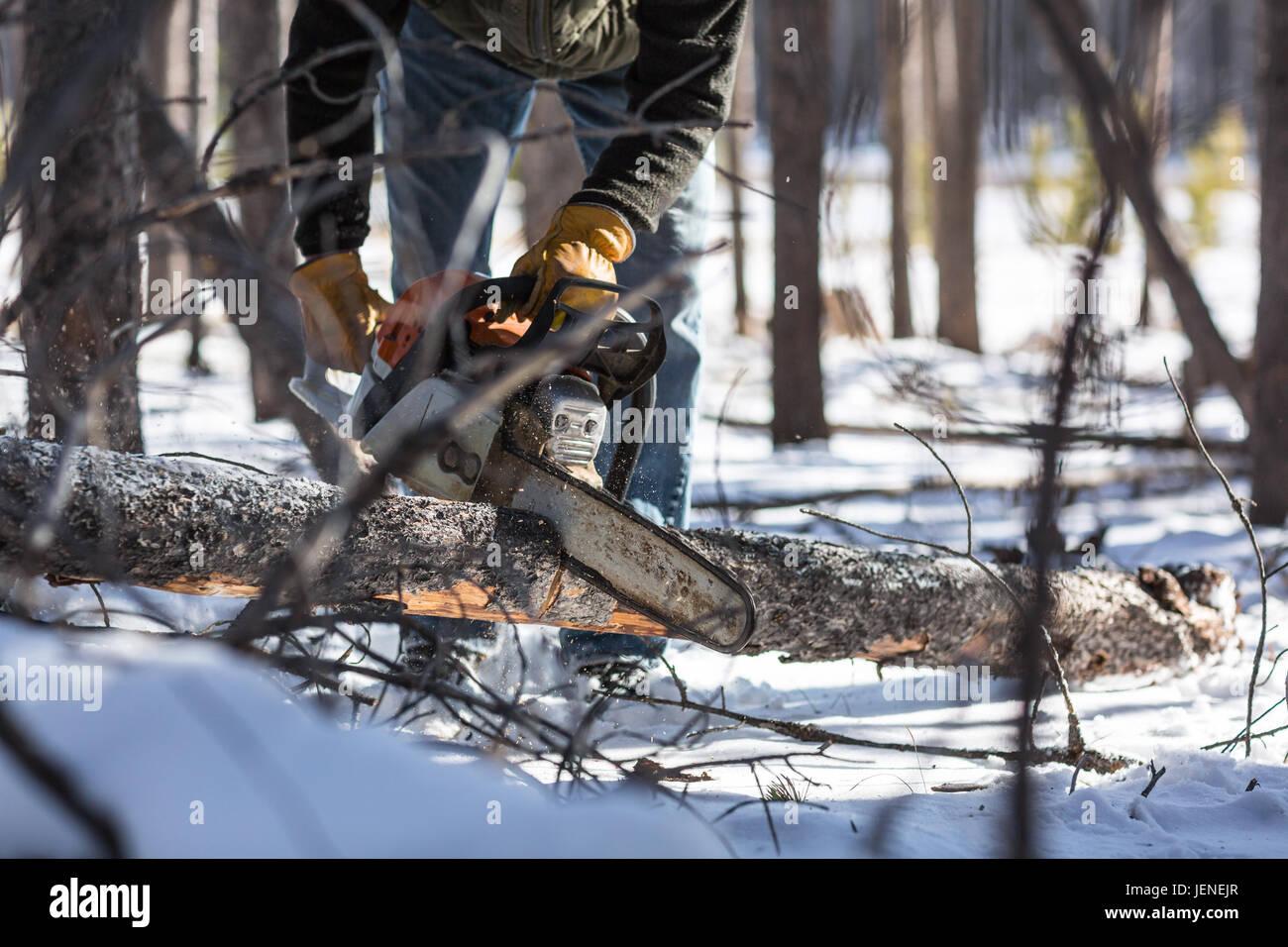 Mann mit Kettensäge im Winter Brennholz Stockfoto