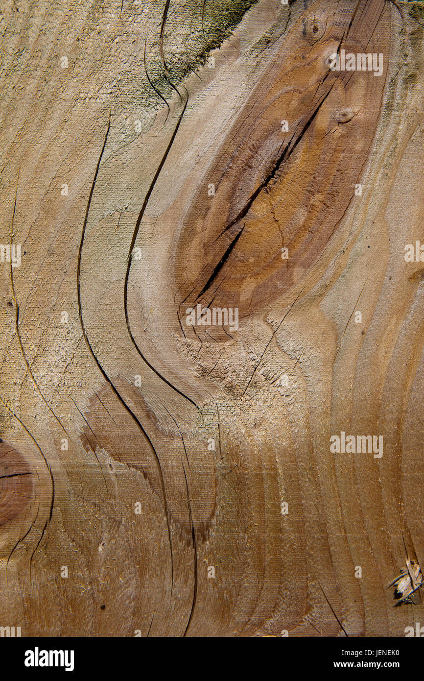 Hintergrundbild der Schnittware mit Holzmaserung und Knoten Stockfoto