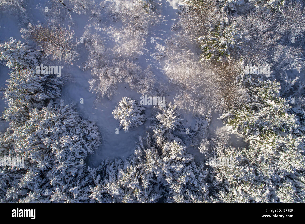 Luftaufnahme von einem tief verschneiten Wald Stockfoto