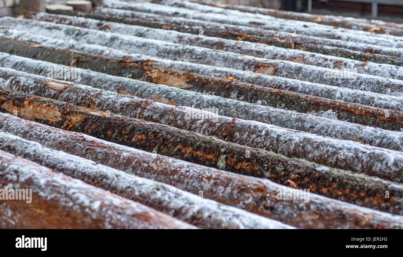 Bild von Schnee bedeckten Protokollen am Sägewerk Stockfoto