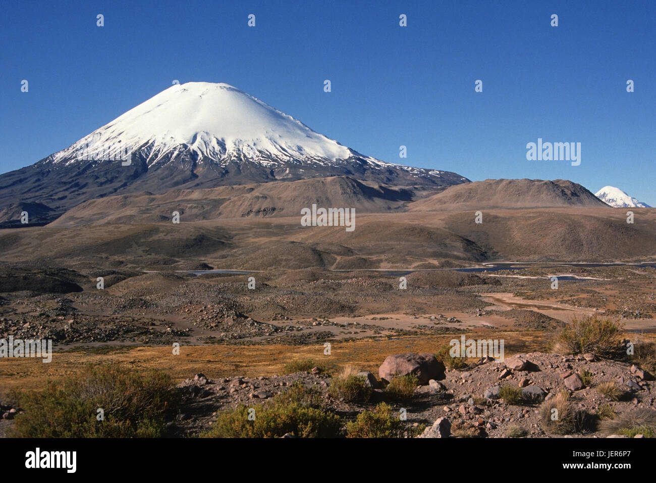 Vulkan Sajama, der Norden Chiles Vulkan Sajama, Nord-Chile Stockfoto