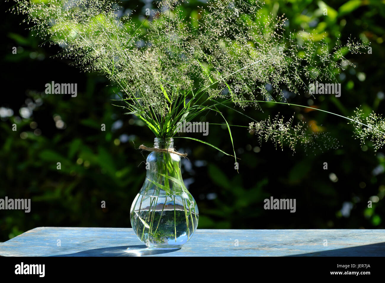 Blume-Rasen-Glas im Wind wehen am Abend Sonne machen Gefühl und Ruhe, wilde kleine Blumen auf grünem natürlichen Hintergrund im Garten Stockfoto