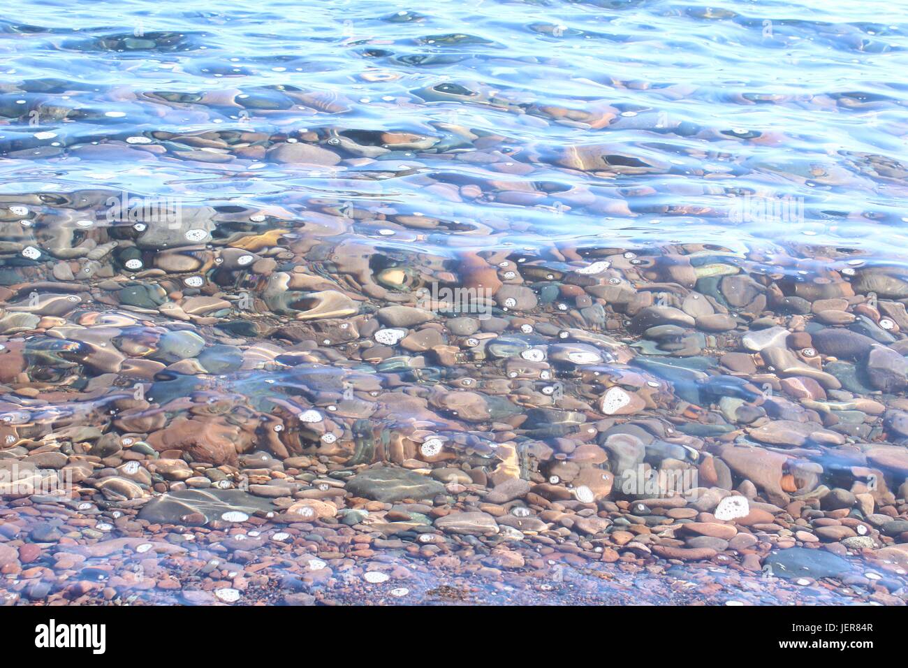 Vielzahl von verschiedenen Kieselsteinen unter klarem Wasser. Stockfoto