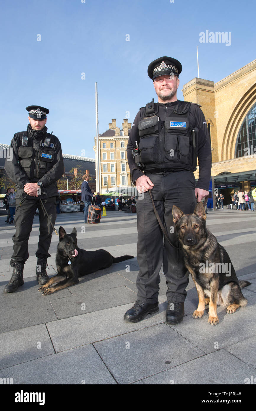 Metropolitan Police Dog Gerät außerhalb Kings Cross Station, London, England, UK Stockfoto