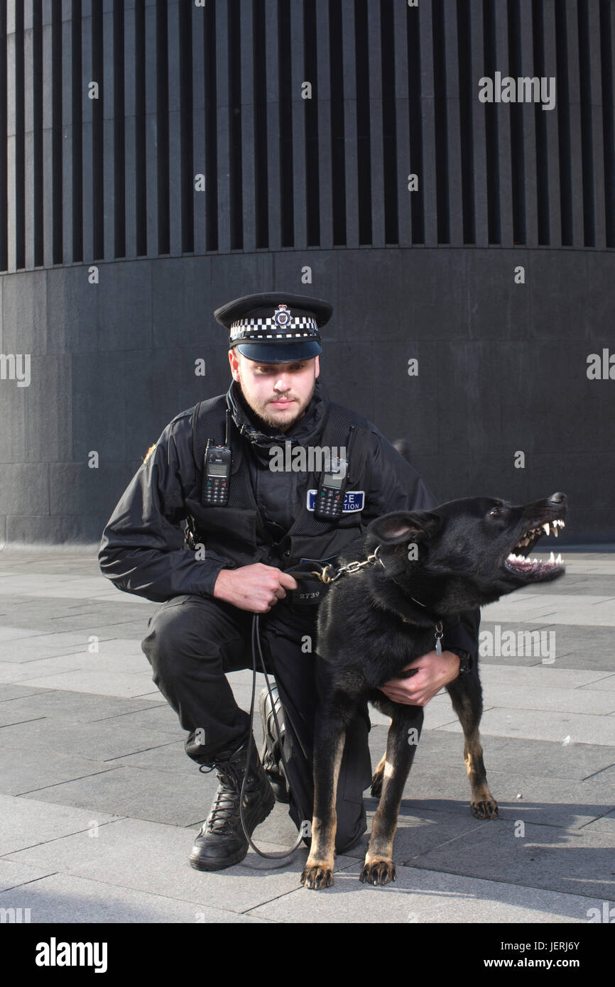 Metropolitan Police Dog Gerät außerhalb Kings Cross Station, London, England, UK Stockfoto
