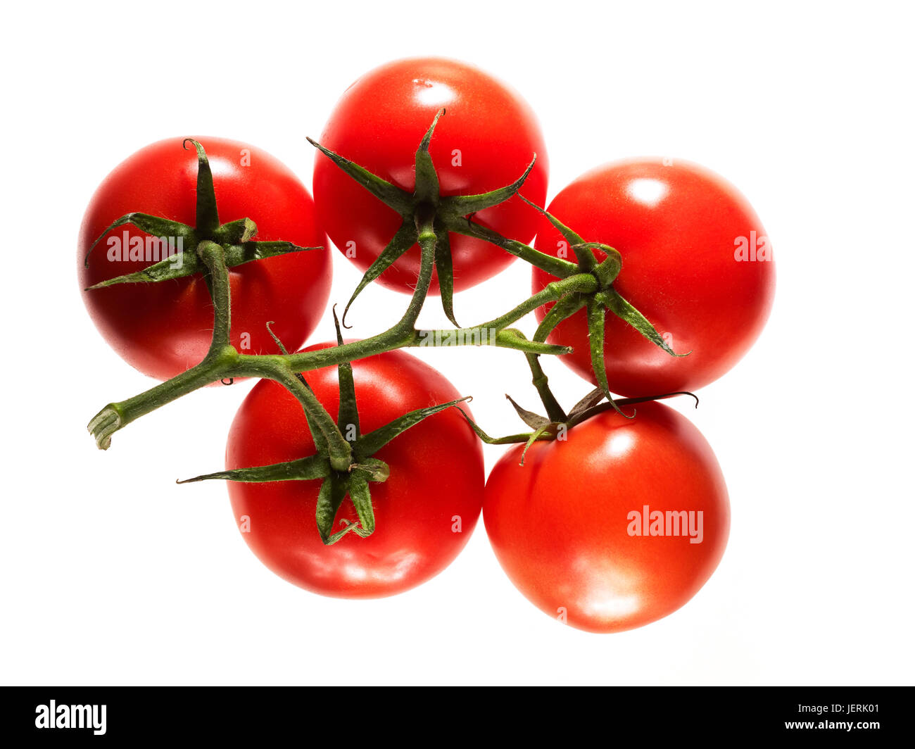 Strauchtomaten auf weißem Hintergrund Stockfoto