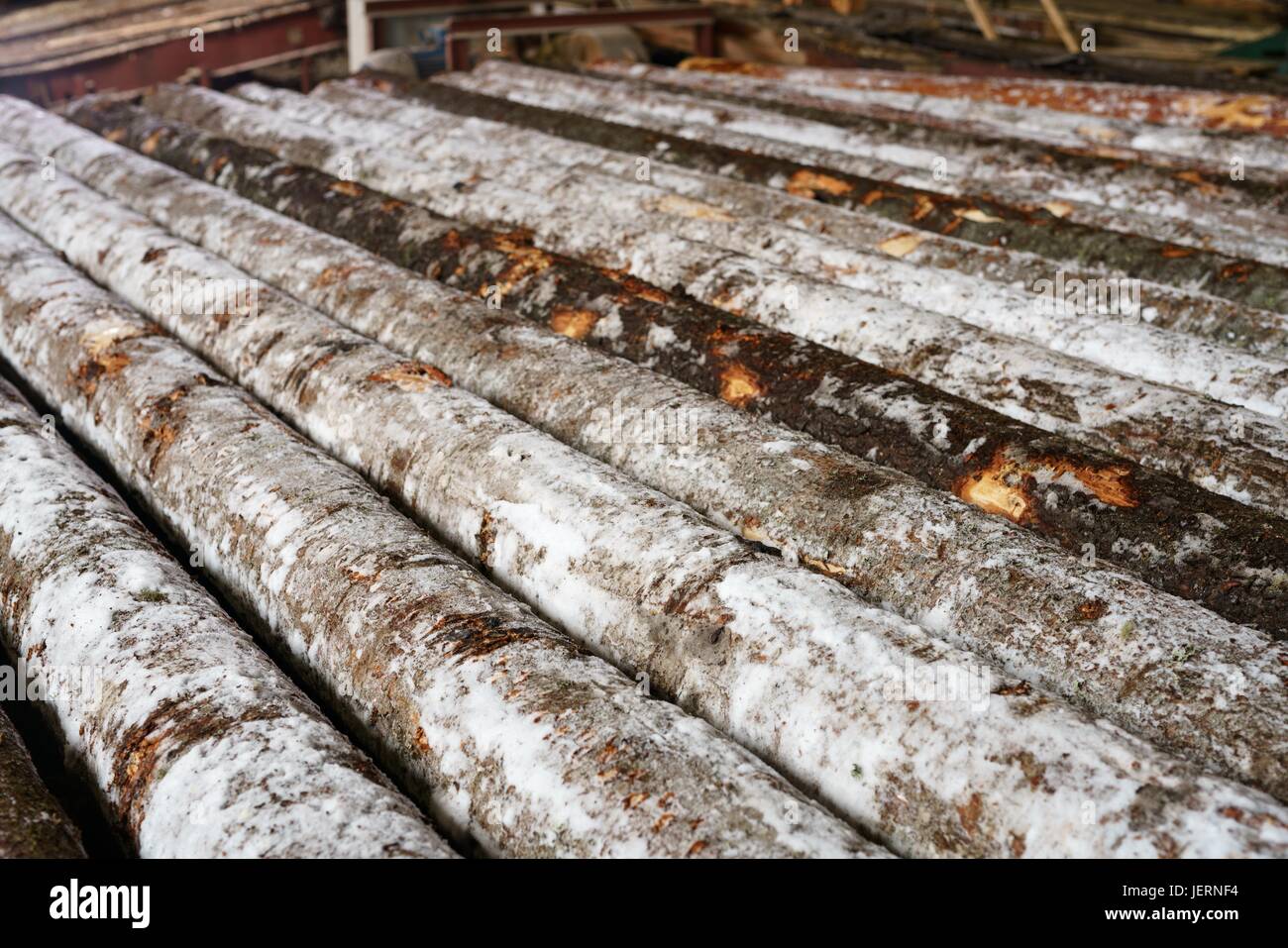 Verschneite Protokolle liegen in Reihe am Sägewerk Stockfoto