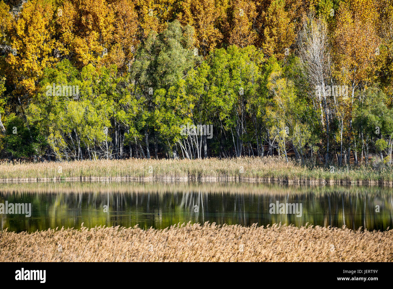 Blick über die Lagune auf Una im Herbst, Serrania de Cuenca, Castilla-la Mancha, Spanien Stockfoto