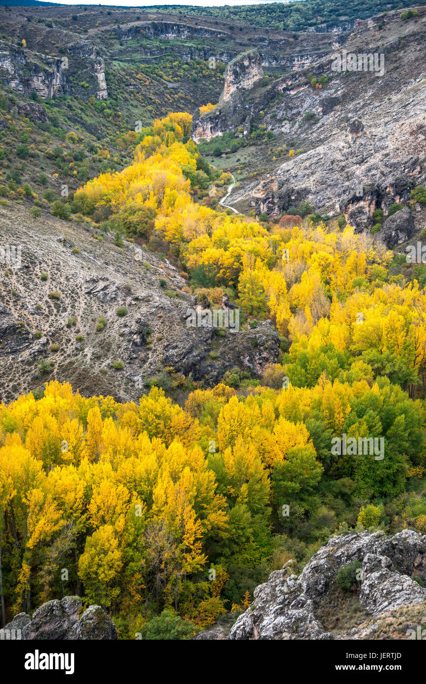 Herbst im Barranco del Rio Dulce Naturpark. Provinz Guadalajara. Spanien Stockfoto