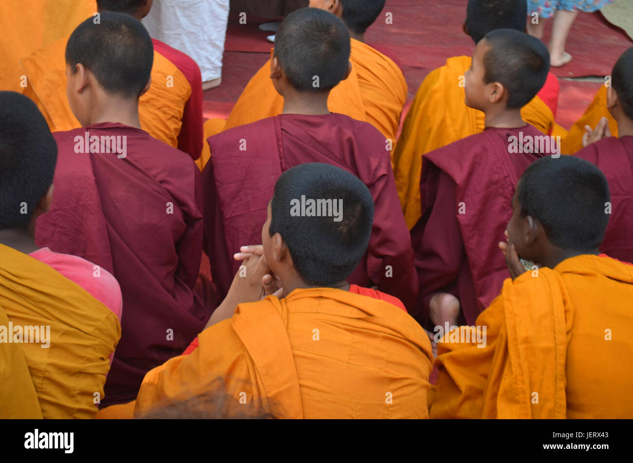 Junge buddhistische Mönche, sehen Sie am Hinterkopf. Stockfoto