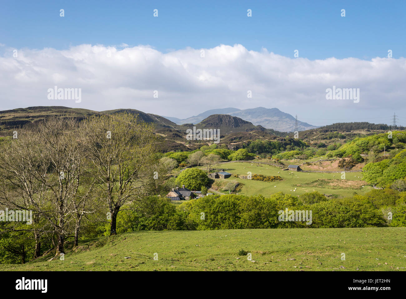Schöne Aussicht auf schroffe Landschaft in der Nähe von Harlech in Nord-Wales. Stockfoto