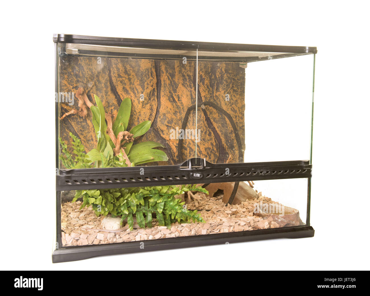 Terrarium für Reptilien vor weißem Hintergrund Stockfoto