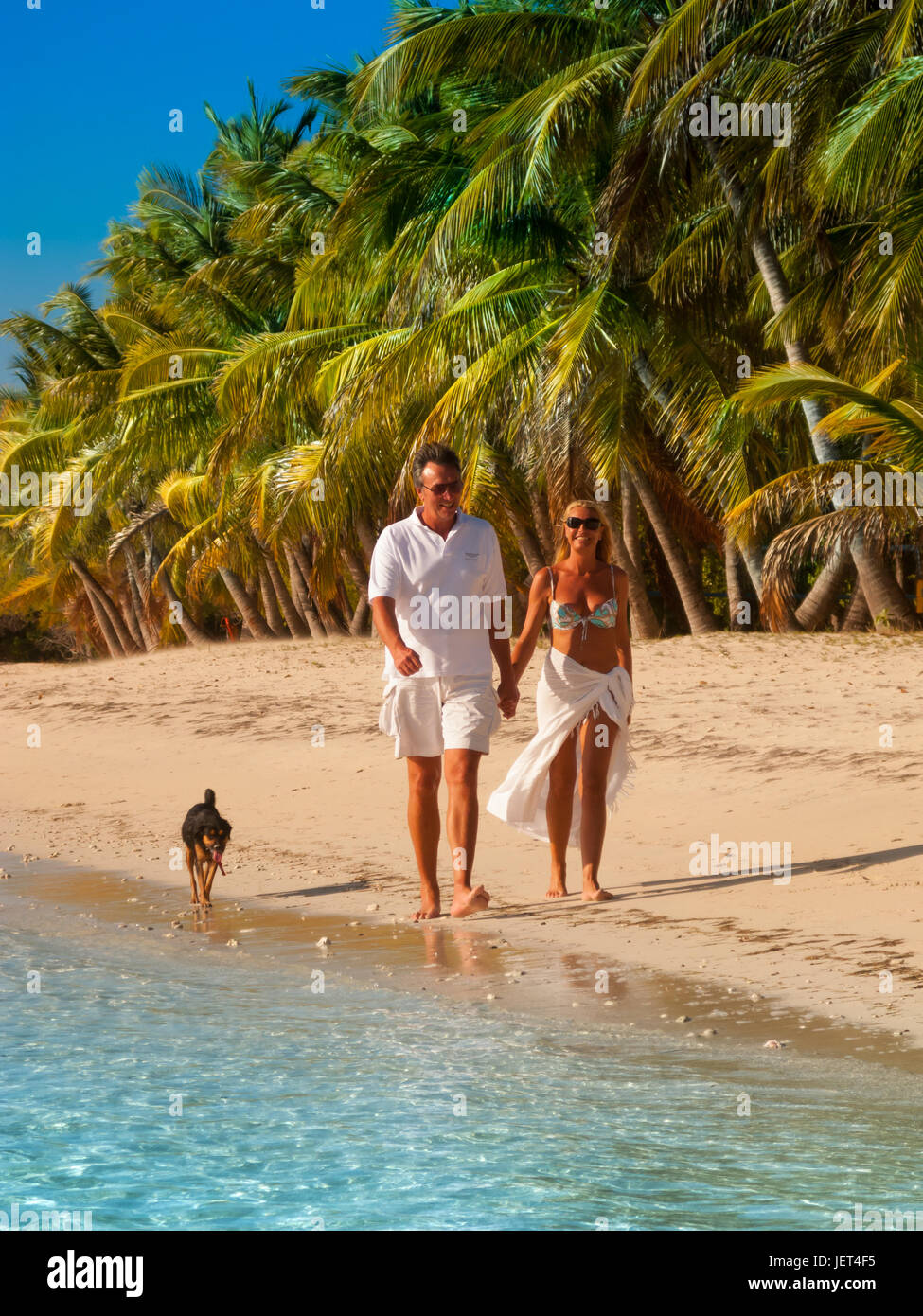 Paare, die an einem karibischen Strand mit Hund, Lagoon Beach, Mustique Stockfoto