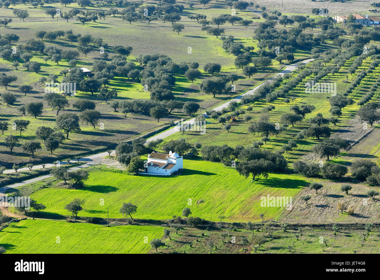 Felder im Großraum Monsaraz, Alentejo, Portugal Stockfoto