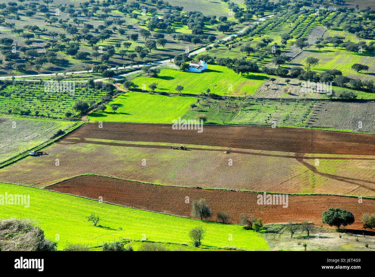 Felder im Großraum Monsaraz, Alentejo, Portugal Stockfoto