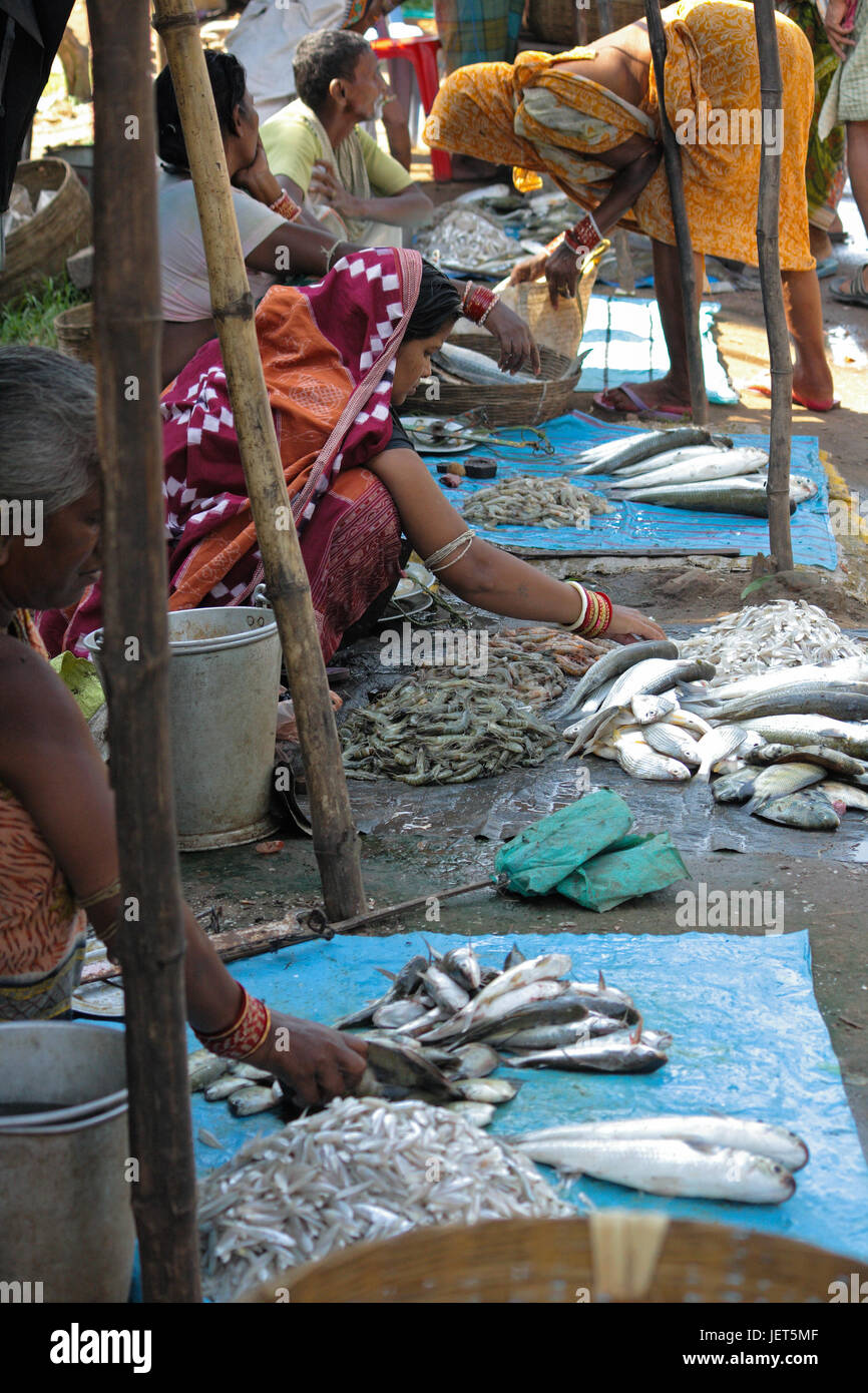 Burkul Fischmarkt in Orissa Stockfoto