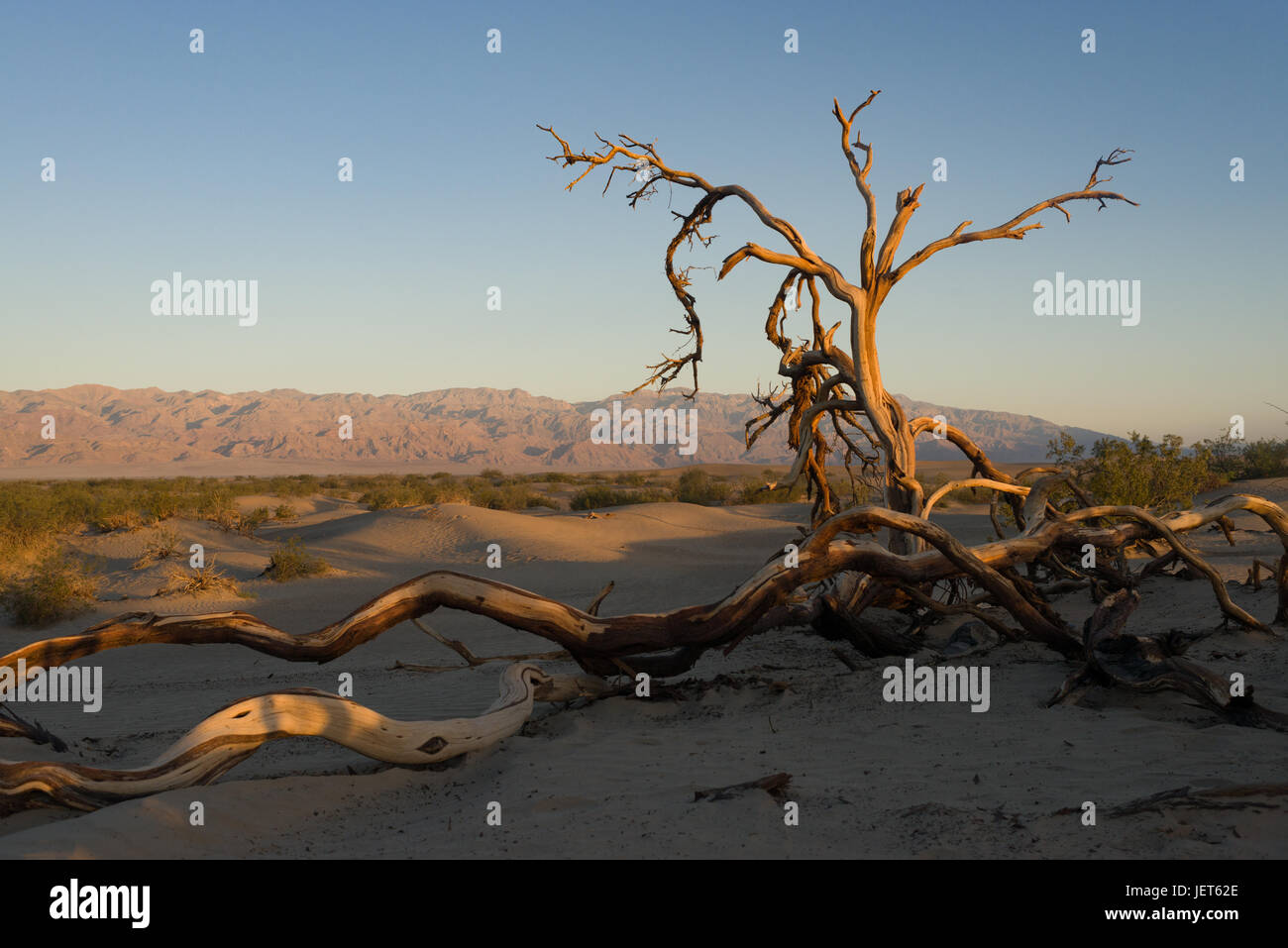 Sonnenaufgang in Death Valley Nationalpark Stockfoto
