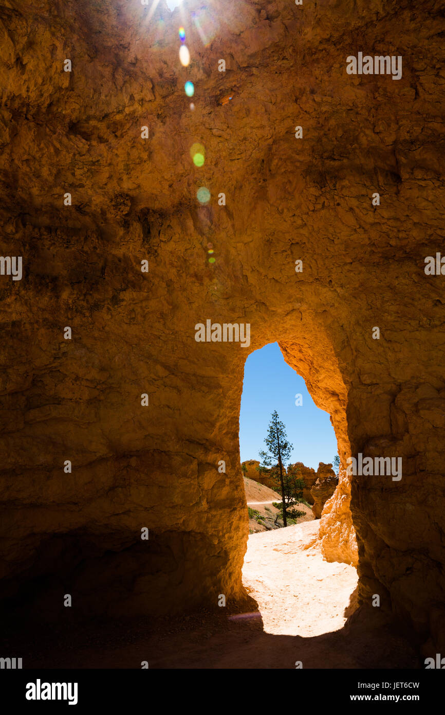 USA, Utah, Bryce Canyon Nationalpark. Das Hauptmerkmal des Parks ist der Bryce Canyon, der trotz seines Namens keine Schlucht ist, sondern eine Sammlung riesiger natürlicher Amphitheater entlang der östlichen Seite des Paunsaugunt Plateaus Stockfoto