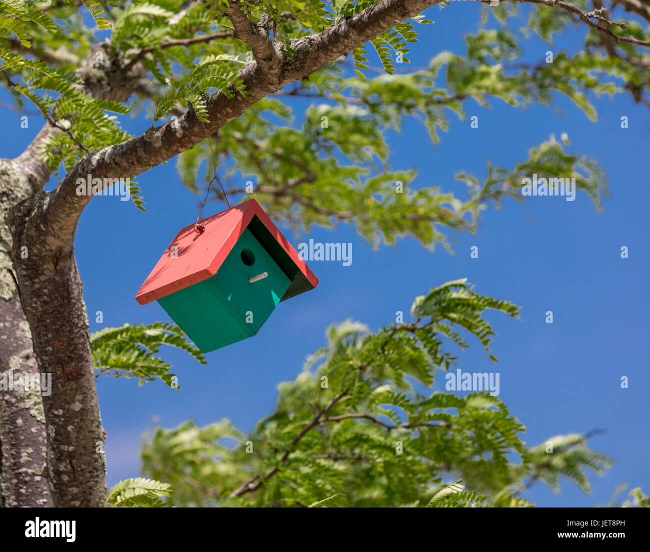 buntes Vogelhaus hängend in einem Baum am Sunset Beach Hotel und Restaurant, Shelter Island, NY Stockfoto