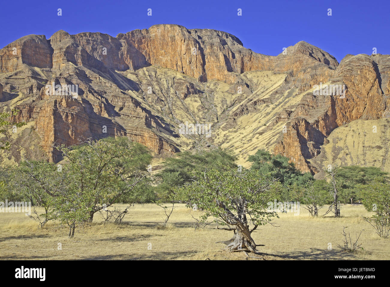 Namibia, Kunene Region Damaraland, schließen Sesfontein, Berglandschaft, Akazien, Stockfoto