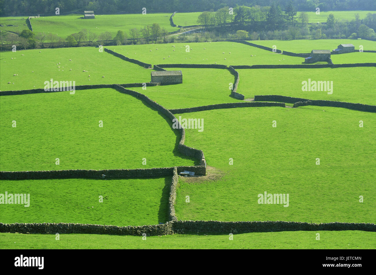 Großbritannien, England, Yorkshire Dales, Swaledale, Bereich Landschaft, Mauern, Europa, Ziel, Ort von Interesse, Landschaft, in der Regel für Land, in der Regel, Landwirtschaft, Felder, Einschränkung Mauern, Stein Mauer, Margen, Ansicht, grün, Stahlwerke, menschenleer, Grundstücke, Stockfoto