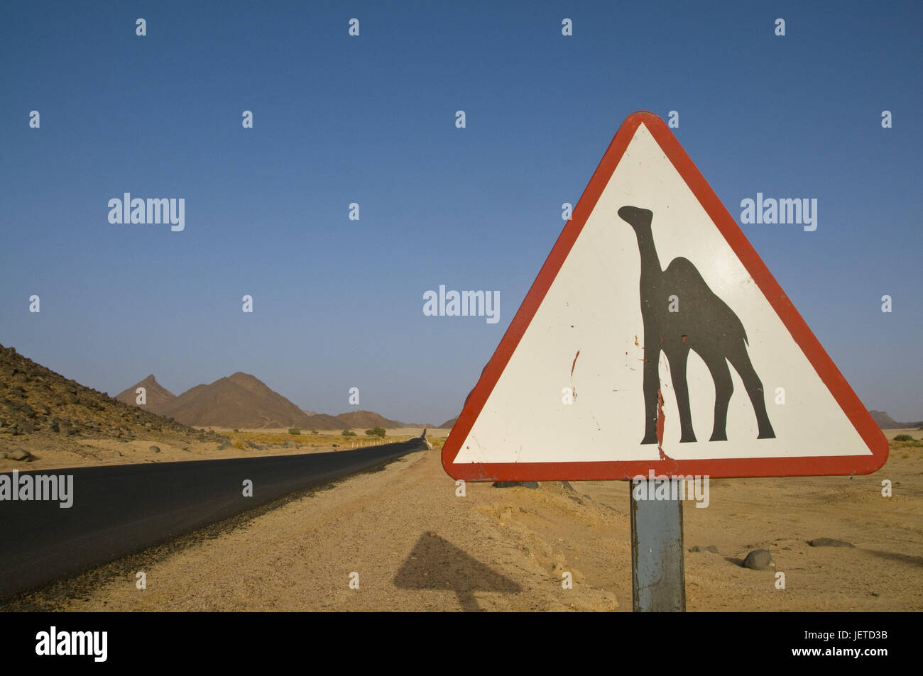 Wüste, Landstraße, Warnschild, Kamele, Essendilene, Algerien, Afrika, Stockfoto